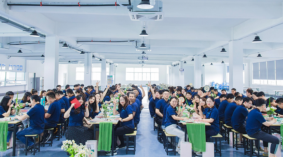 同心筑梦 粽香传情——杏鑫娱乐储能入职周年庆典暨端午活动圆满举行